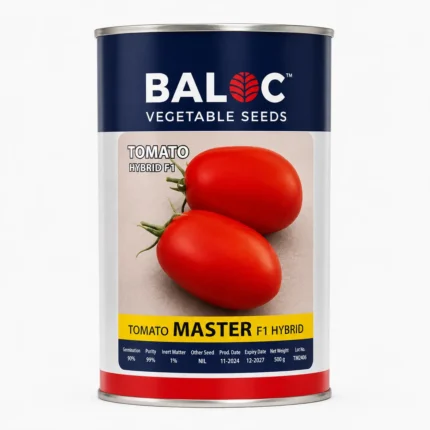 TOMATO MASTER F1